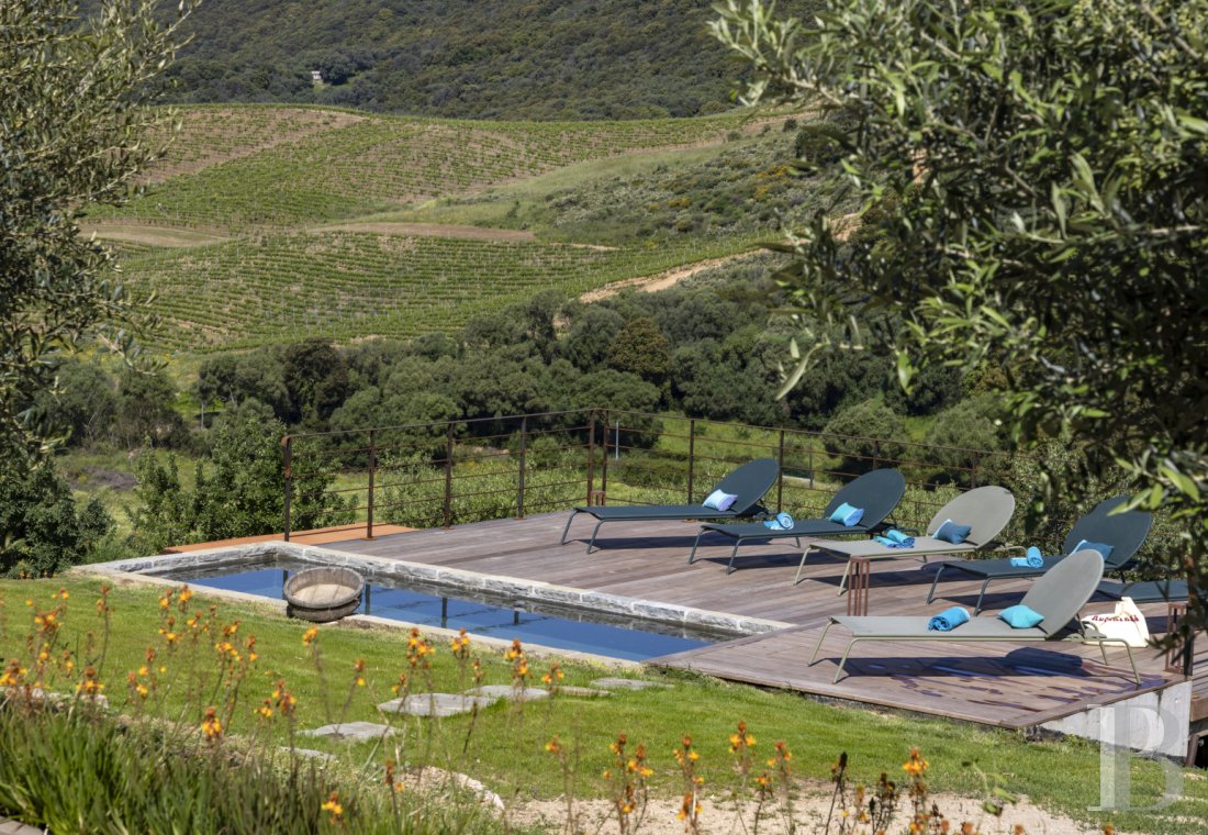 A renovated ancient wine press on the heights of Propriano, between Ajaccio and Bonifacio - photo  n°39